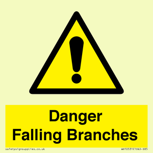 WV10531: Danger Falling Branches