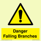 WV10531: Danger Falling Branches