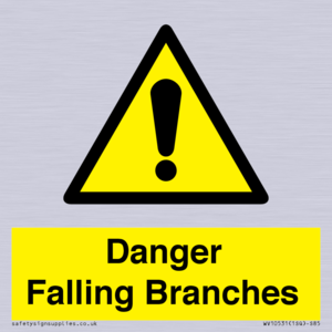 WV10531: Danger Falling Branches