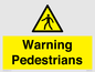 WV10602: Warning Pedestrians