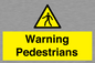 WV10602: Warning Pedestrians