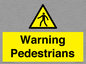 WV10602: Warning Pedestrians