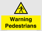 WV10602: Warning Pedestrians