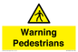 WV10602: Warning Pedestrians