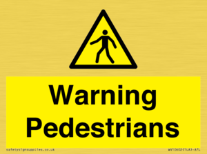 WV10602: Warning Pedestrians
