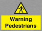 WV10602: Warning Pedestrians