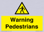 WV10602: Warning Pedestrians