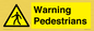 WV10602: Warning Pedestrians