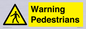 WV10602: Warning Pedestrians