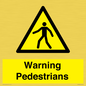 WV10602: Warning Pedestrians