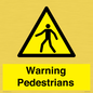 WV10602: Warning Pedestrians