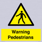 WV10602: Warning Pedestrians