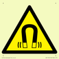 WV11054: W006 Warning: Magnetic field