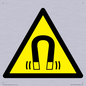 WV11054: W006 Warning: Magnetic field