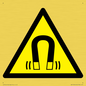 WV11054: W006 Warning: Magnetic field