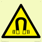 WV11054: W006 Warning: Magnetic field