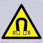 WV11054: W006 Warning: Magnetic field