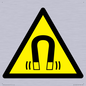 WV11054: W006 Warning: Magnetic field