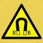 WV11054: W006 Warning: Magnetic field