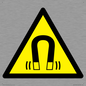 WV11054: W006 Warning: Magnetic field