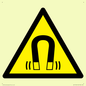 WV11054: W006 Warning: Magnetic field