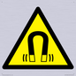 WV11054: W006 Warning: Magnetic field