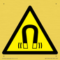 WV11054: W006 Warning: Magnetic field