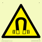 WV11054: W006 Warning: Magnetic field