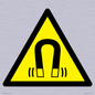 WV11054: W006 Warning: Magnetic field