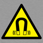 WV11054: W006 Warning: Magnetic field