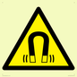 WV11054: W006 Warning: Magnetic field