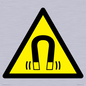 WV11054: W006 Warning: Magnetic field