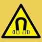 WV11054: W006 Warning: Magnetic field