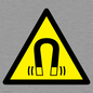 WV11054: W006 Warning: Magnetic field