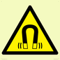 WV11054: W006 Warning: Magnetic field