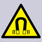 WV11054: W006 Warning: Magnetic field