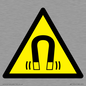 WV11054: W006 Warning: Magnetic field