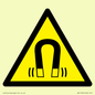 WV11054: W006 Warning: Magnetic field
