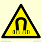 WV11054: W006 Warning: Magnetic field