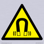 WV11054: W006 Warning: Magnetic field