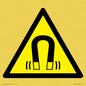 WV11054: W006 Warning: Magnetic field