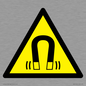 WV11054: W006 Warning: Magnetic field