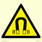 WV11054: W006 Warning: Magnetic field