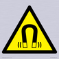 WV11054: W006 Warning: Magnetic field