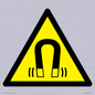 WV11054: W006 Warning: Magnetic field