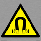 WV11054: W006 Warning: Magnetic field