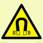 WV11054: W006 Warning: Magnetic field