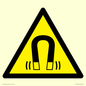 WV11054: W006 Warning: Magnetic field