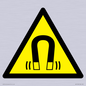 WV11054: W006 Warning: Magnetic field