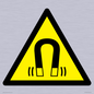 WV11054: W006 Warning: Magnetic field